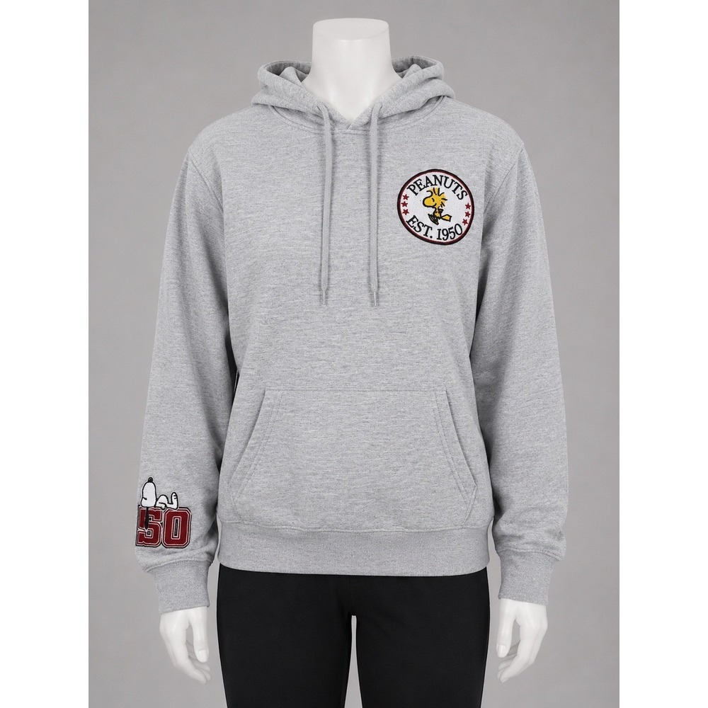 Peanuts Snoopy Woodstock Heather Gray Graphic Hoodie Freeze Size Small - Picture 2 of 11